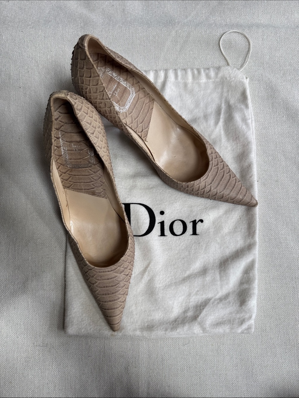 Dior Pointed Toe Pumps in Taupe Scales